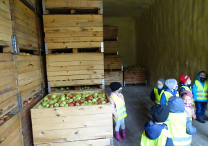 dzieci zwiedzają chłodnię na jabłka